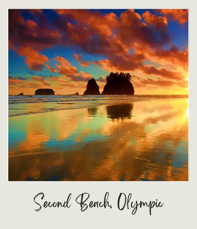 La Push Second Beach, Washington State: Complete Guide Breathtaking golden sunset at the beach of Olympic National Park.