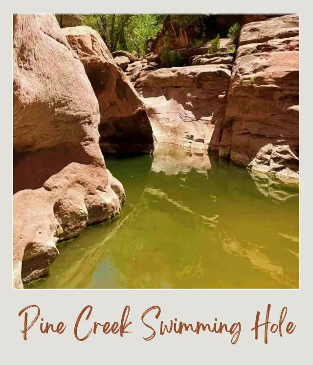 water surrounded by rocks swimming hole in Zion national park