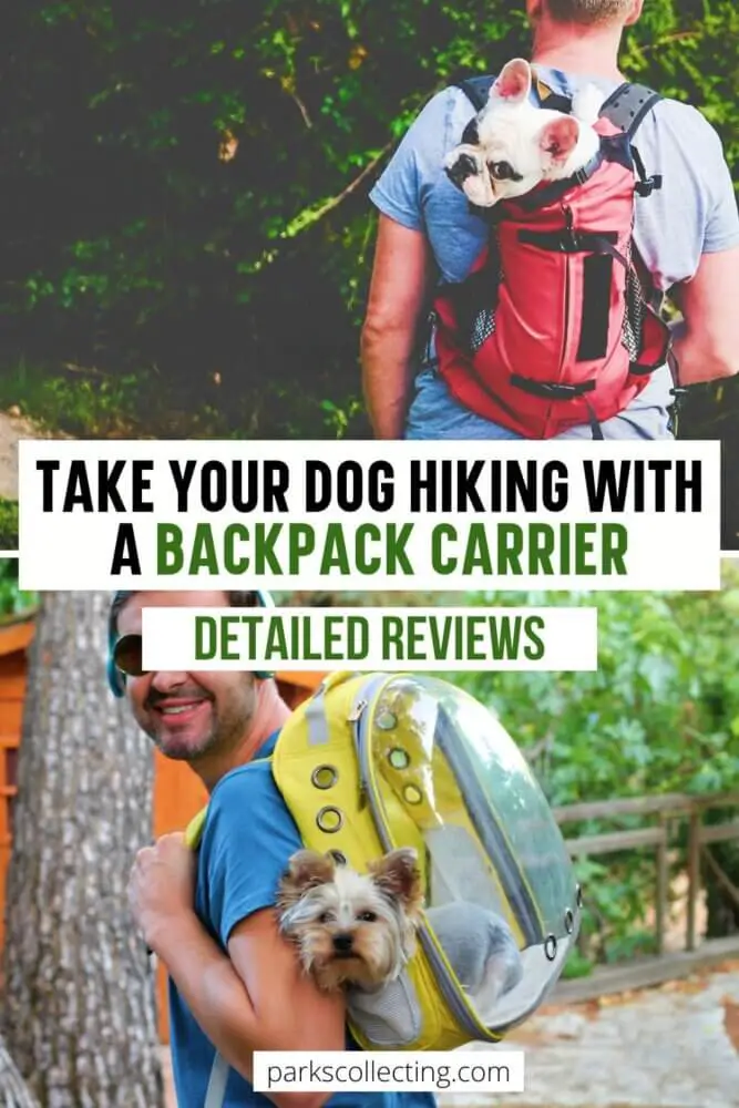 Take Your Dog Hiking with a Backpack Carrier