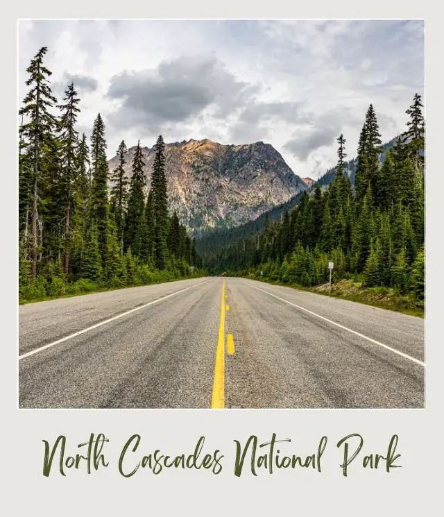 How To Get to North Cascades National Park: Complete Guide Long road surrounded by trees and behind are snow-capped mountains in North Cascades National Park