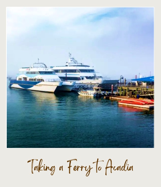 catamaran ferries in bar harbor on misty day