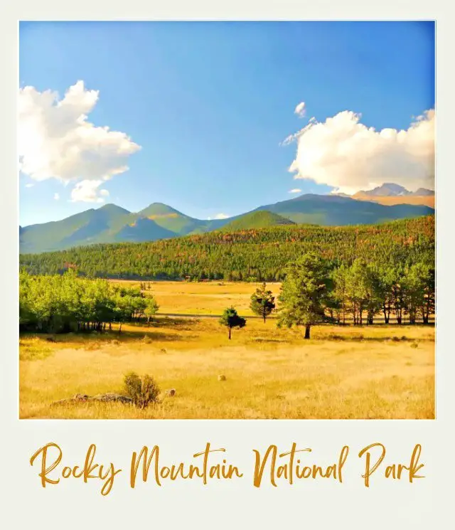 How to Get to Rocky Mountain National Park Below the mountains are trees in the flat field in Rocky Mountain National Park.