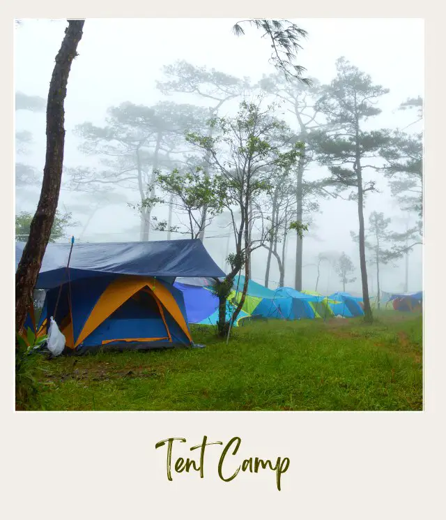 38 Tent Camping Tips for Beginners Tent camp under the foggy weather