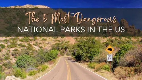 The 5 Most Dangerous National Parks in the US Header