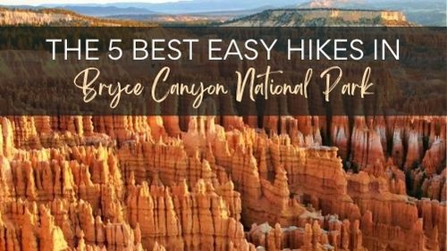 Bryce Canyon National Park Guide orange hoodoos with text The 5 best hikes in Bryce Canyon National Park
