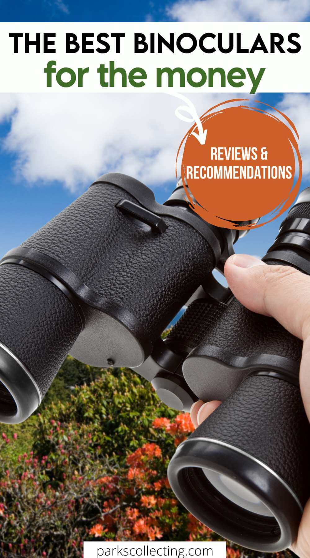 The Best Binoculars For The Money: Top Picks For 2023 2024