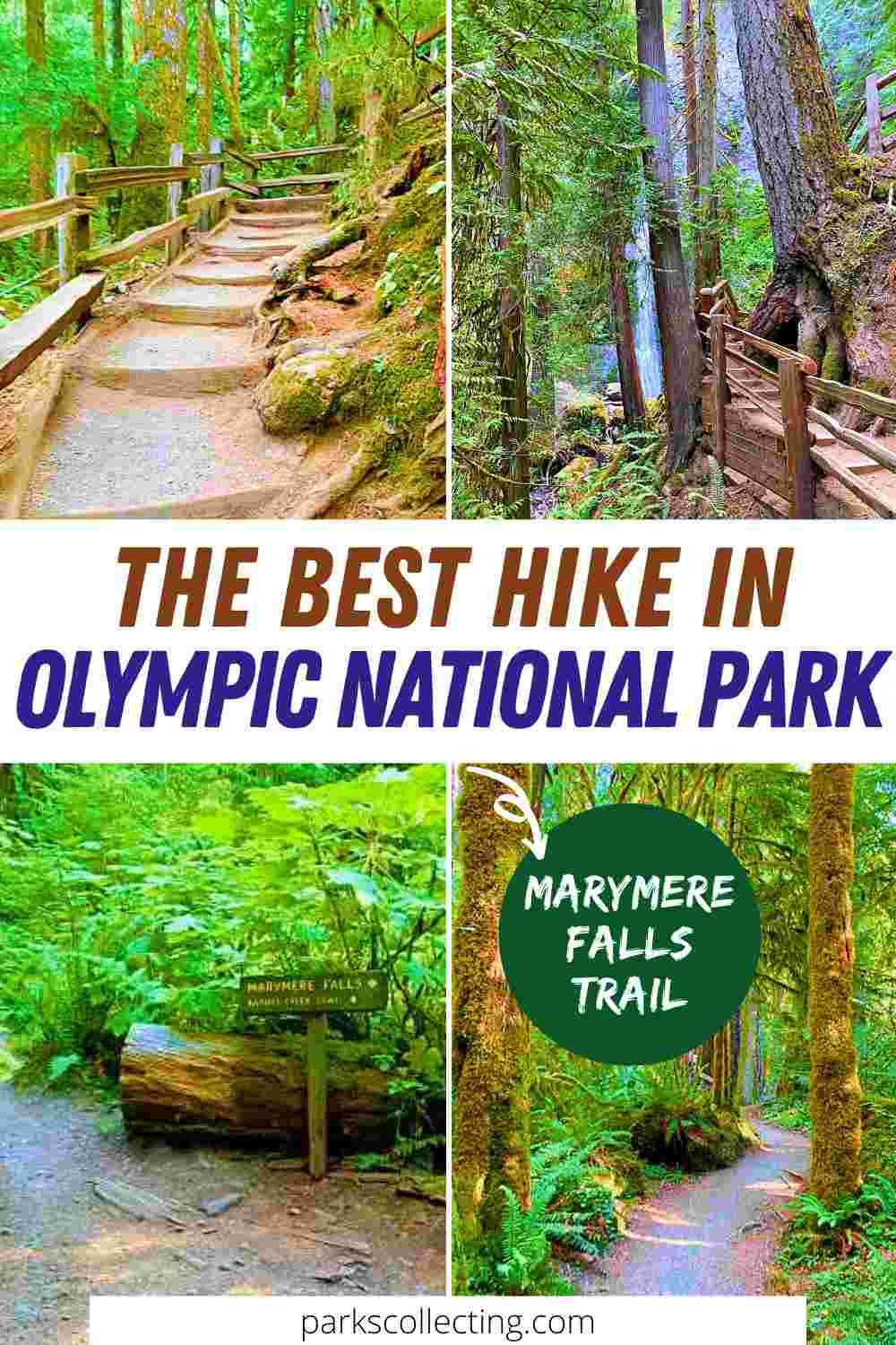 Marymere falls best hikes olympic national park best sale