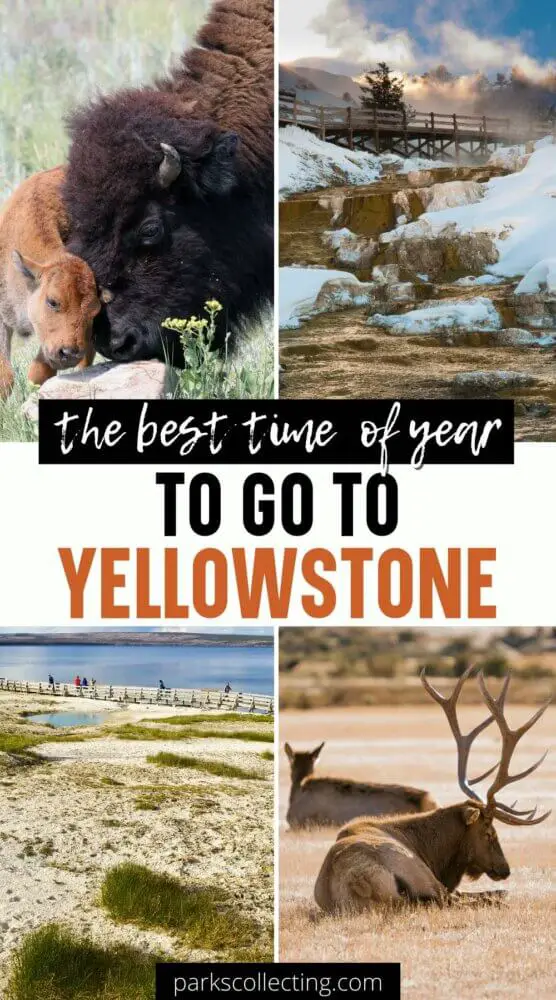 The Best Time of Year to Go to Yellowstone