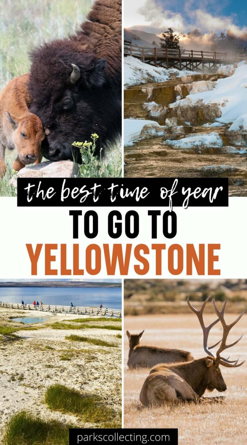 When Is The Best Time To Visit Yellowstone National Park?