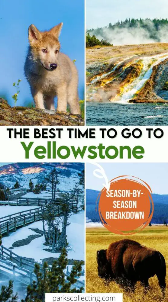 The Best Time to Go to Yellowstone