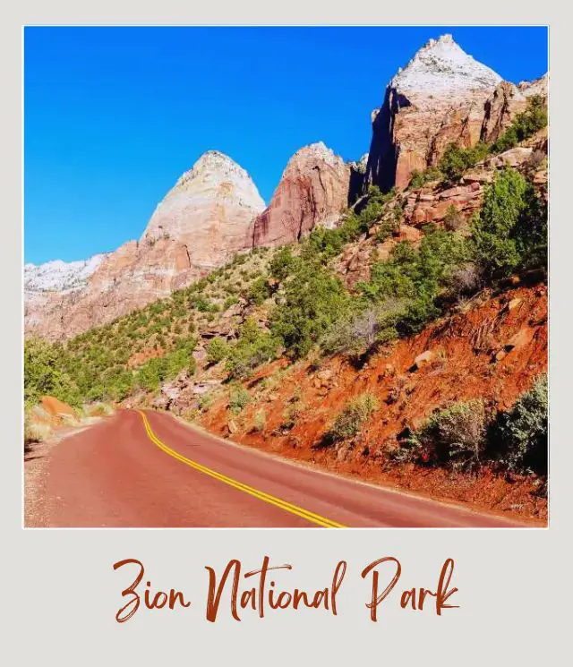 How To Get To Zion National Park: Complete Guide Road with a yellow line in the middle surrounded by red rock cliffs and bushes in Zion National Park