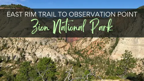 Zion National Park Guide The East Rim Trail to Observation Point in Zion National Park Header