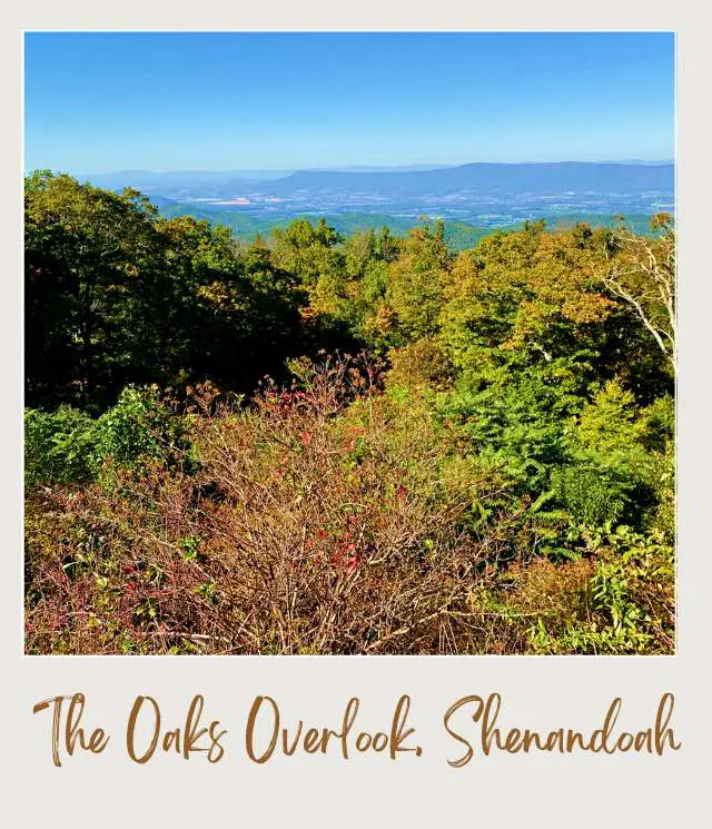 25 Best Overlooks on Skyline Drive The Oaks Overlook Shenandoah National Park