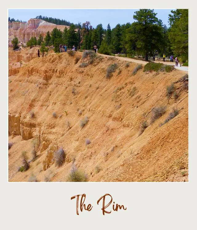 The Rim in Two Bridges Trail Bryce Canyon national Park 1