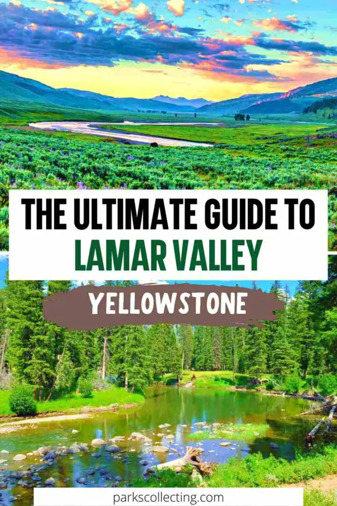Pinterest pin of river and green plains in Lamar Valley with text "Ultimate guide to Lamar Valley yellowstone"