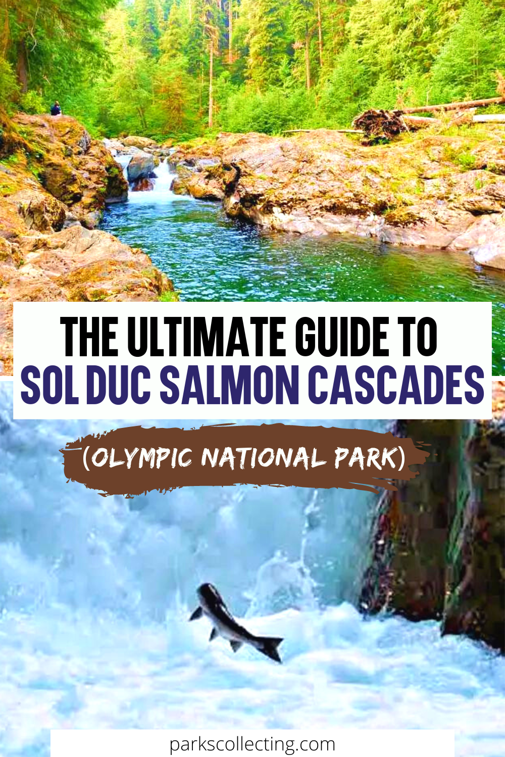 Sol Duc Salmon Cascades, Olympic National Park: All You Need To Know