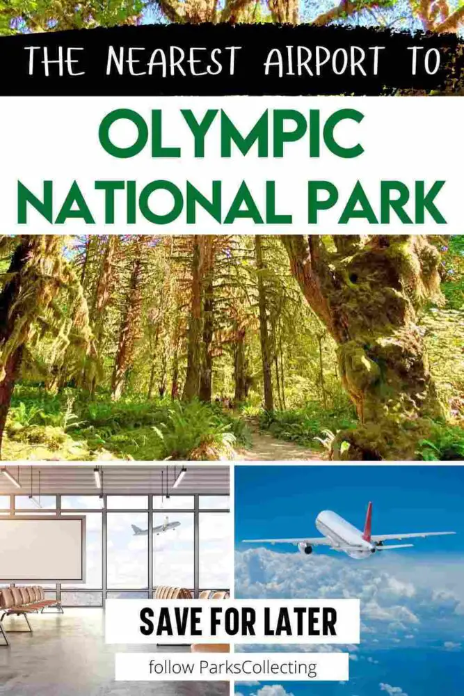 collage of moss covered trees, plane and airport with text: The nearest airport to Olympic National Park