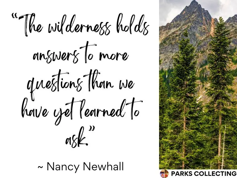 The wilderness holds answers to more questions than we have yet learned to ask