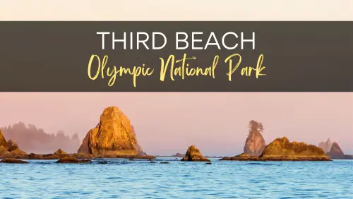 View of huge sea stacks in the middle of the sea, with the text, Third Beach Olympic National Park.