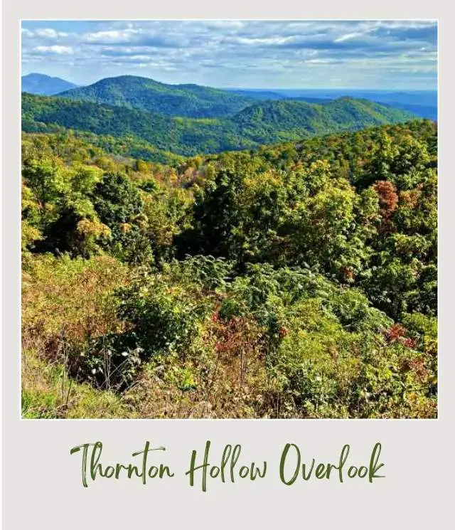 tree covered hills seen from Thornton Hollow Overlook Shenandoah National Park