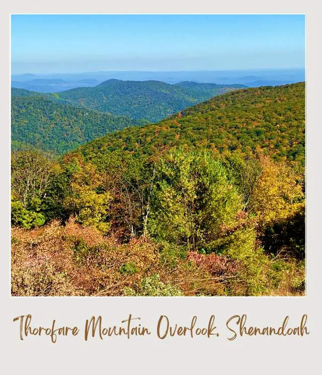 25 Best Overlooks on Skyline Drive Thorofare Mountain Overlook Shenandoah National Park