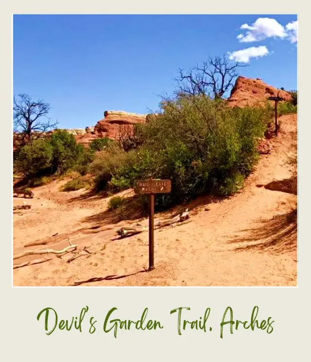 Wooden signage and behind are bushes and huge rock formations on Devils Garden Trail in Arches National Park.