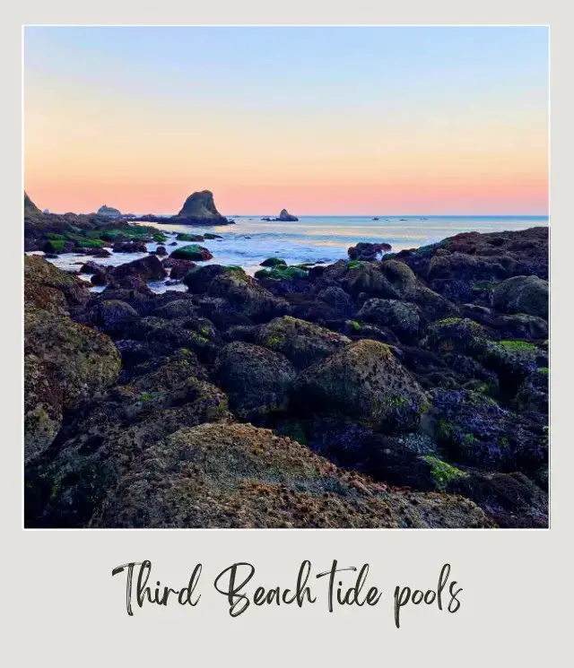 Third Beach, La Push: Complete Guide Headland rocks in Third Beach Olympic National Park.