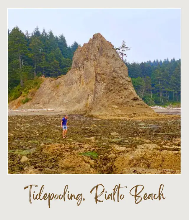 Rialto Beach - Hole in the Wall, Olympic National Park: Complete Guide A man standing on the rocks and behind is a huge boulder and behind are tree forest in Rialto Beach, Olympic National Park.