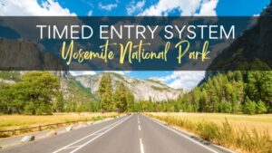 Yosemite National Park Guide