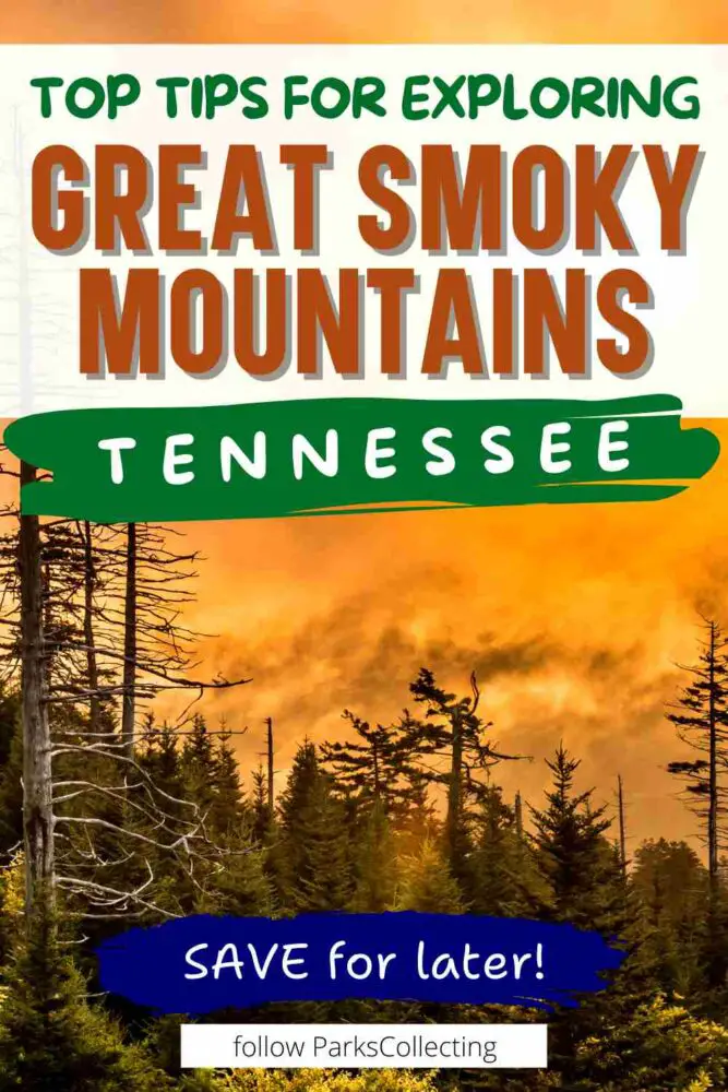 Top Tips for Exploring Great Smoky Mountains Tennessee