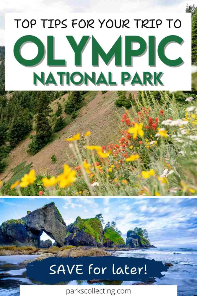 Top Tips for Your Trip to Olympic National Park