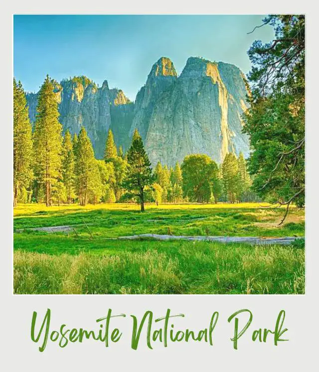 How to Get to Yosemite National Park A wide field of grassland with trees surrounding the tall mountains in Yosemite National Park.