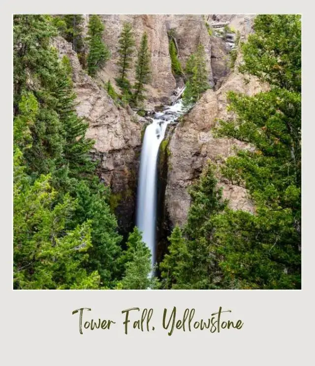 The Best Camping in Yellowstone National Park: Complete Guide waterfall and trees