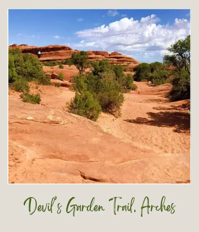 View of huge rock formations and bushes in Devils Garden Trail in Arches National Park.