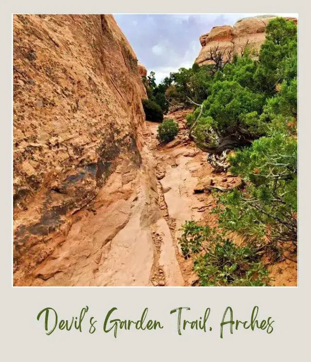 View of a trail surrounded by huge rock formations and small trees in Devils Garden in Arches National Park.