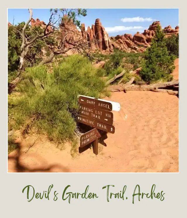 Devils Garden Trail wooden signage is surrounded by dead trees and bushes and behind are rock formations in Arches National Park.