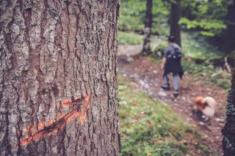 Trail-marker-etched-marker