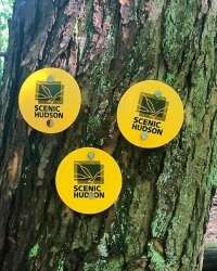 three plastic circles on tree forming pyramid with 2 on top and one on bottom - Trail-marker-trail-ends