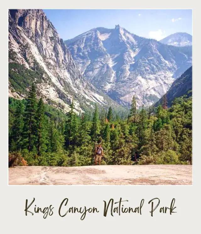 Trees and Mountains Kings Canyon National Park