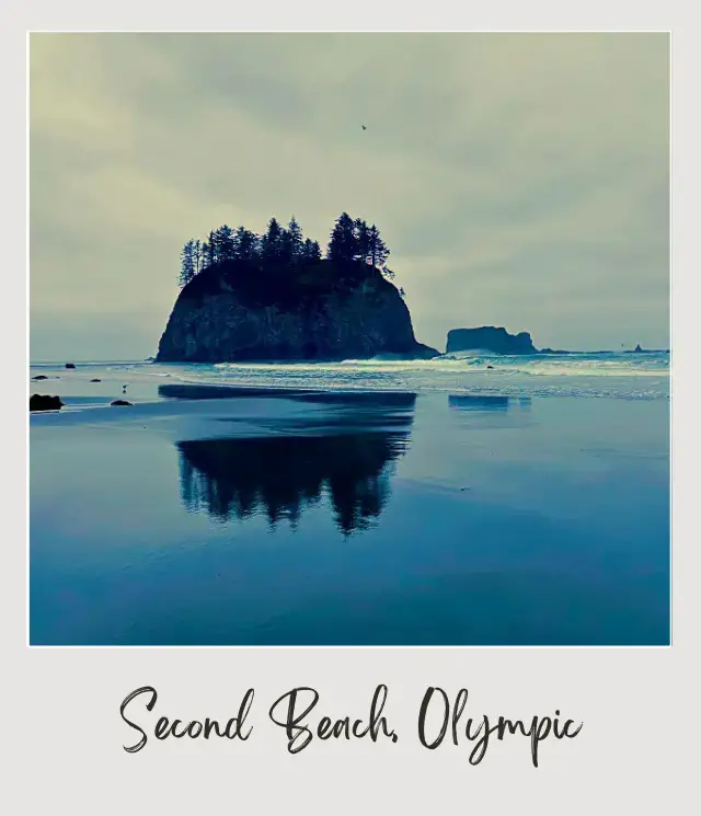 10 Best Views In Olympic National Park: Complete Guide to the Top Scenic Spots Iconic rock formation in the beach of Olympic National Park.