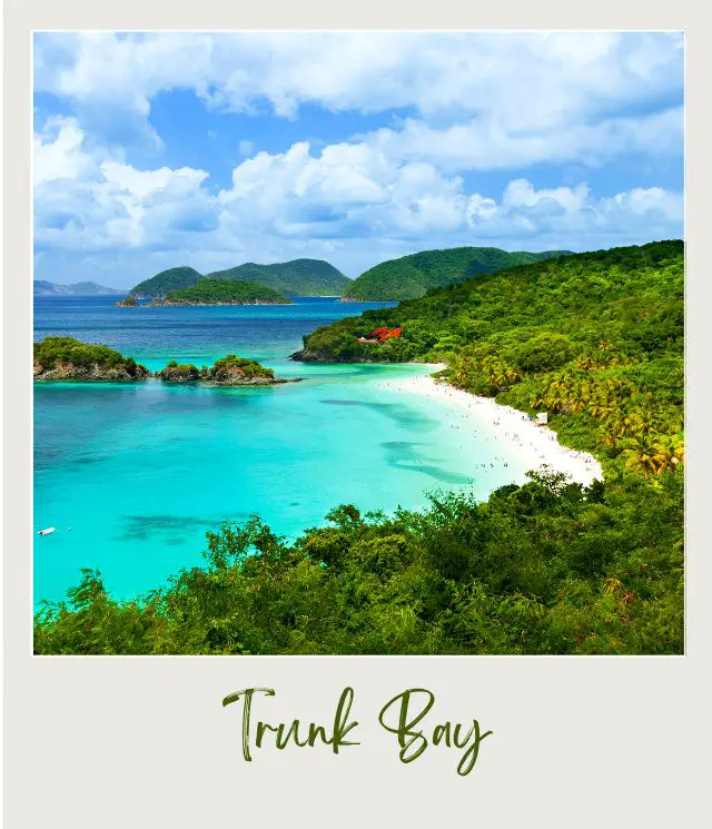 Trunk Bay on St John Island US Virgin Islands