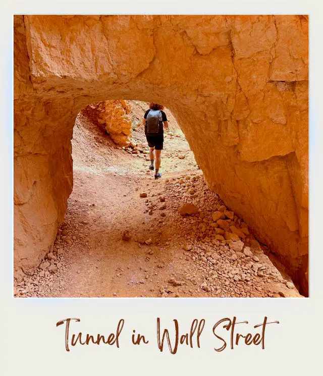 Tunnel in Wall Street Bryce Canyon National Park