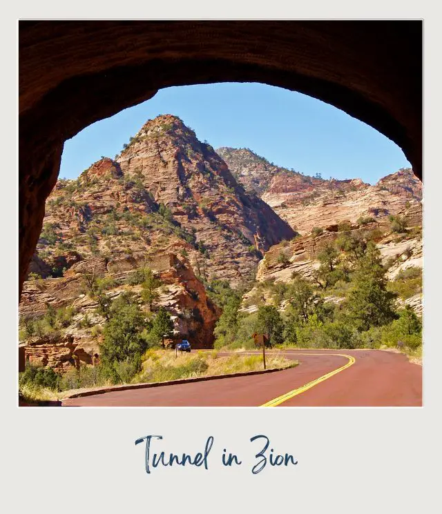 Road under the tunnel and besides are trees and bushes and red rock cliffs in Zion National Park