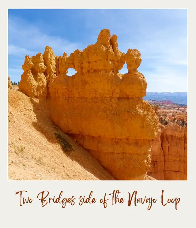 Two Bridges side of the Navajo Loop Bryce Canyon National Park