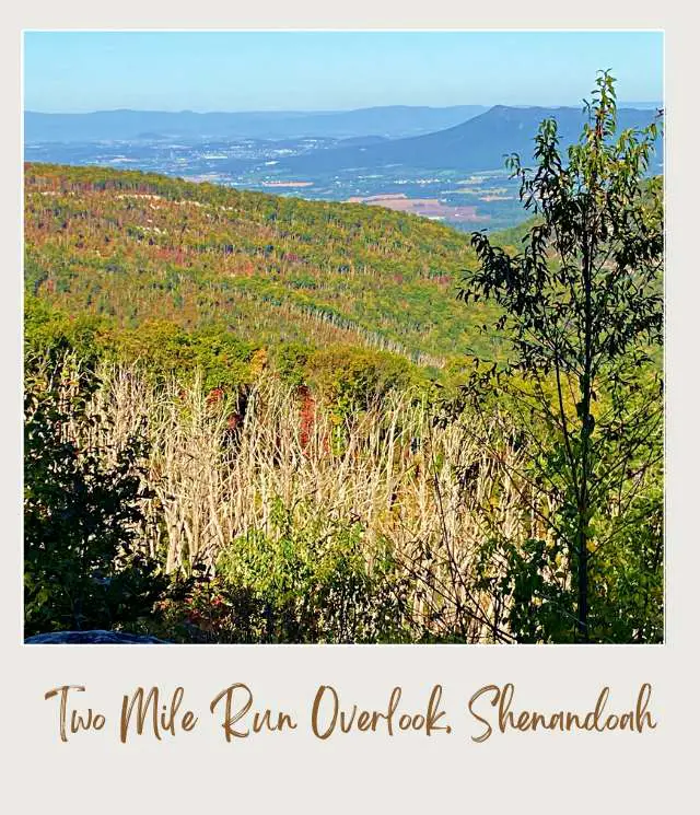 25 Best Overlooks on Skyline Drive Two Mile Run Overlook Shenandoah National Park