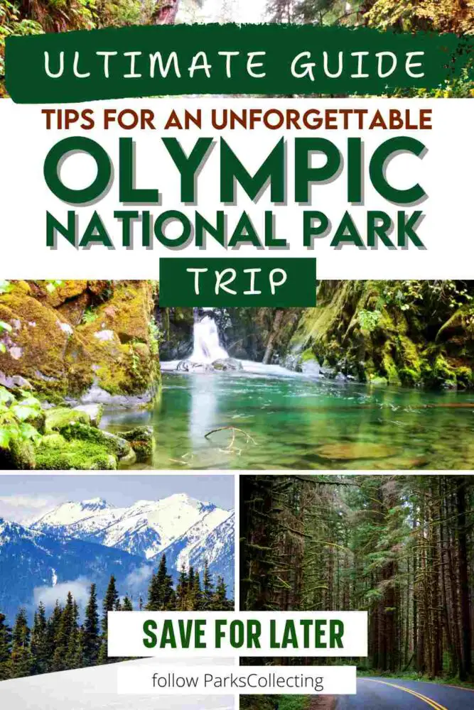 Ultimate Guide Tips for an Unforgettable Olympic National Park Trip