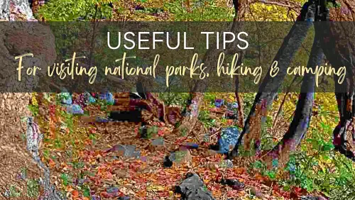 View of a trail surrounded by trees, with the text, "Useful Tips For Visiting National Parks. Hiking and Camping.