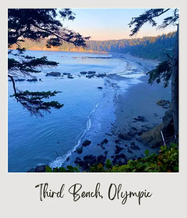 Third Beach, La Push: Complete Guide Aerial view of the blue ocean in Third Beach Olympic National Park, and the other side is an island of trees.