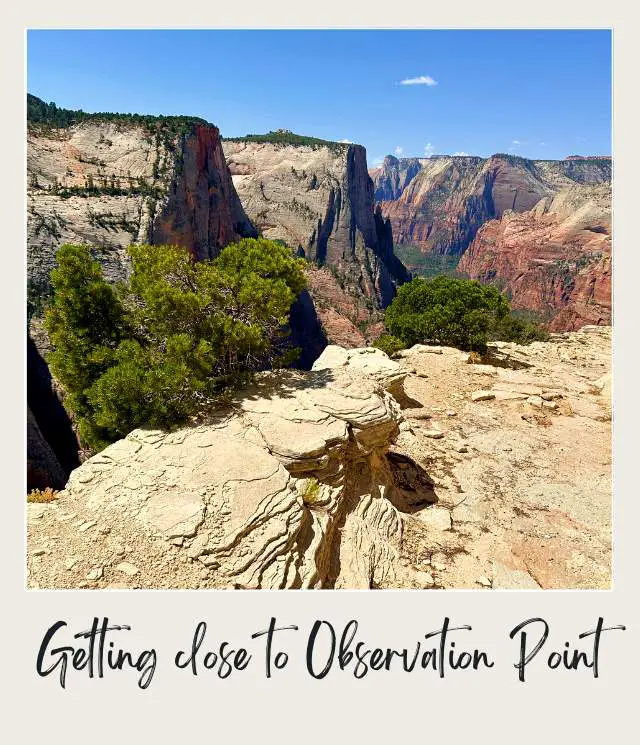 A view of landscape featuring towering cliffs, a rocky trail, and vibrant greenery under a bright blue sky at Observation Point in Zion National Park