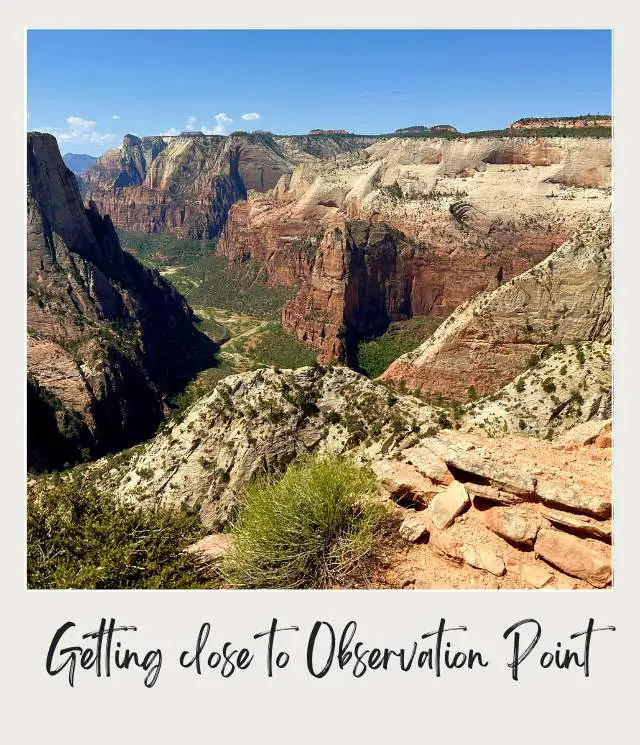 A view of rugged cliffs, deep canyons, and lush greenery stretching beneath a clear blue sky at Observation Point Zion National Park